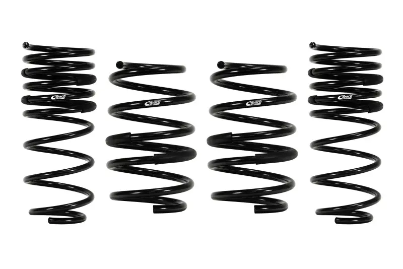Eibach Pro-Kit For 05-09 Chrysler 300C / 05-08 Dodge Magnum (Both 2Wd) 1
