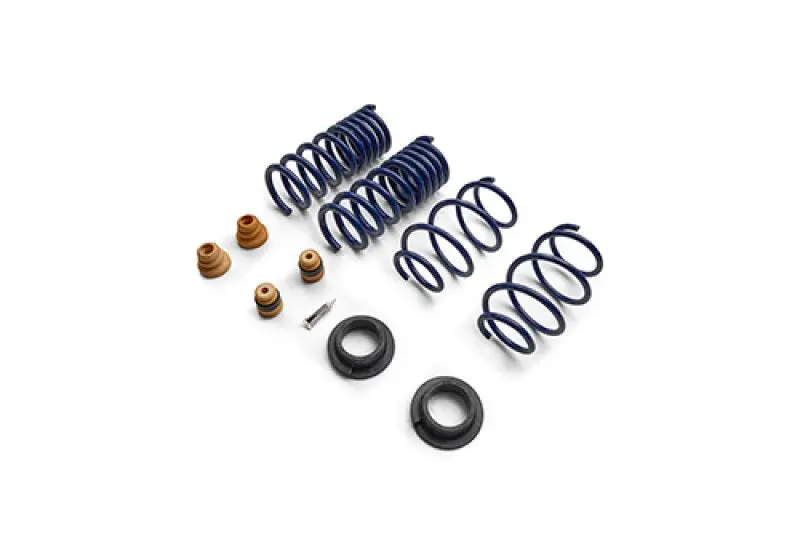 Ford Racing 15-24 Mustang Street Lowering Spring Kit 1