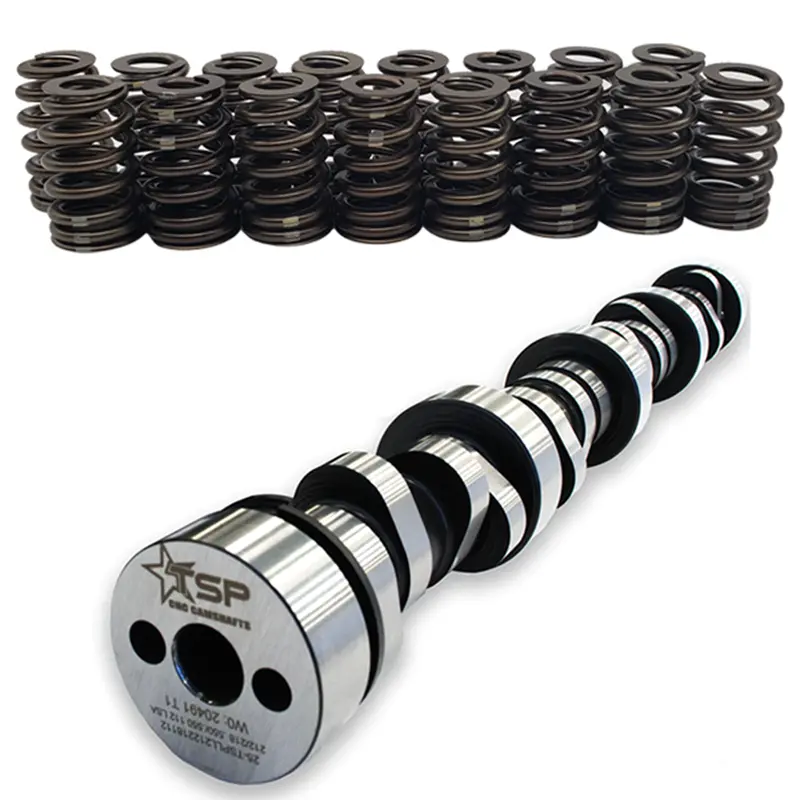 Tsp 4.8/5.3 Ls Chopacabra Cam Kit 1