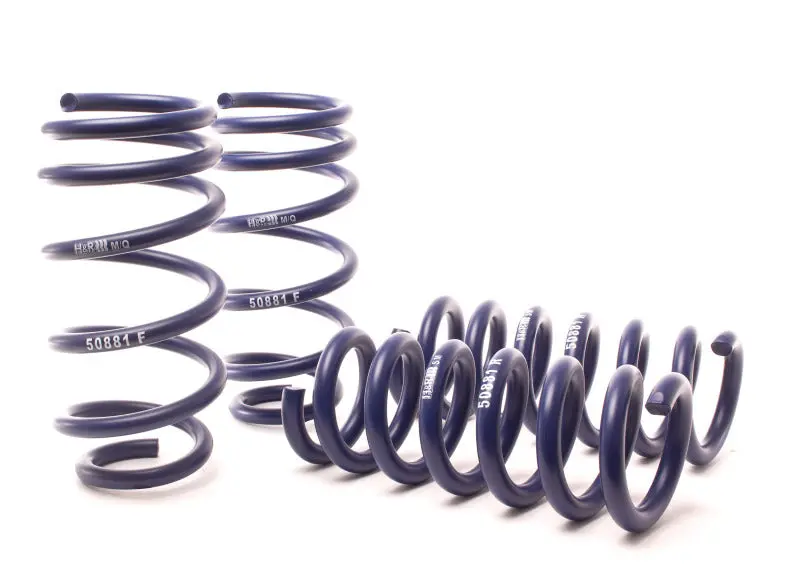 H&R 11-14 Dodge Charger Rt (2Wd) Rt Max V8 Sport Spring 1