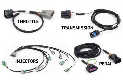 Haltech Nexus Rebel Ls Gen Iv 6-Pin Dbw Throttle/Ev6 Injectors/Manual Transmission 2
