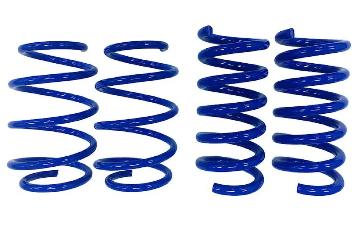 Steeda Mustang Gt Drag Springs - Linear (2015-2026) 1