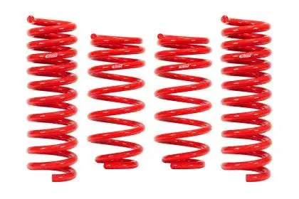 Eibach Sportline Kit For 05-09 Chrysler 300/300C / 05-08 Dodge Magnum/Charger 1