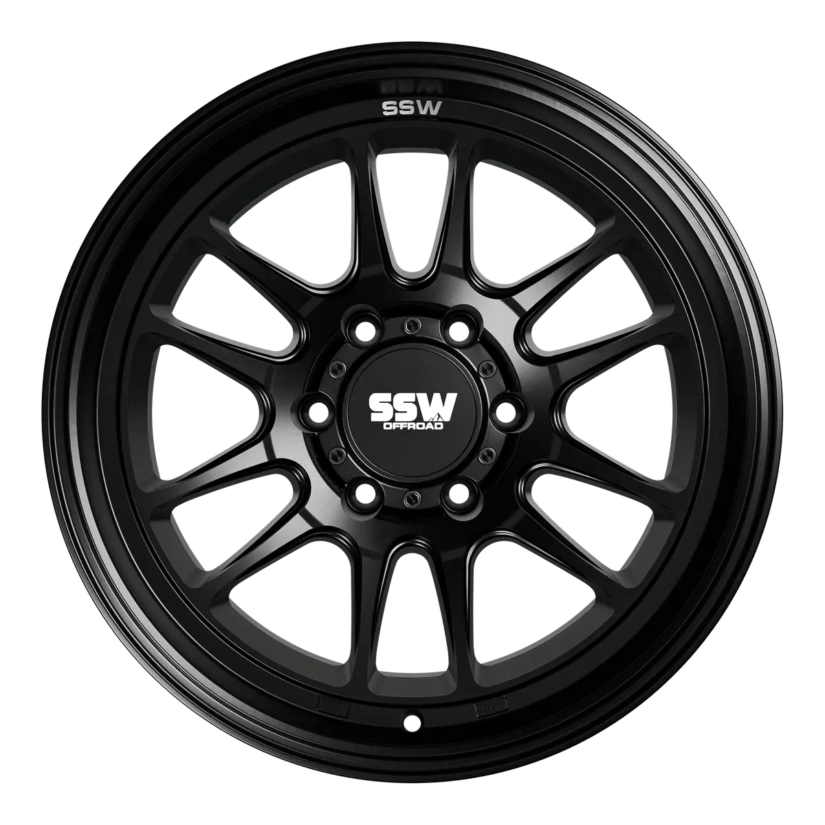 Raptor / Matte Black / 17X9.0 -12 2