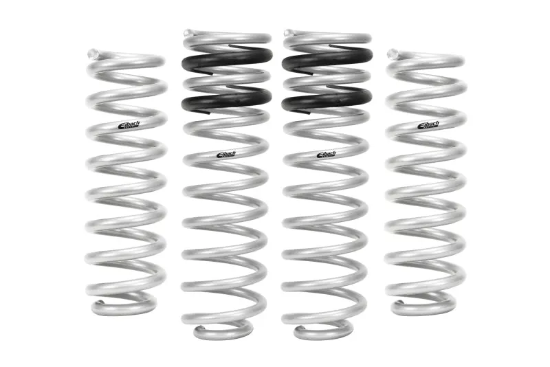 Eibach 09-10 Dodge Ram 1500 Pro-Lift-Kit Springs (Front & Rear Springs) 1