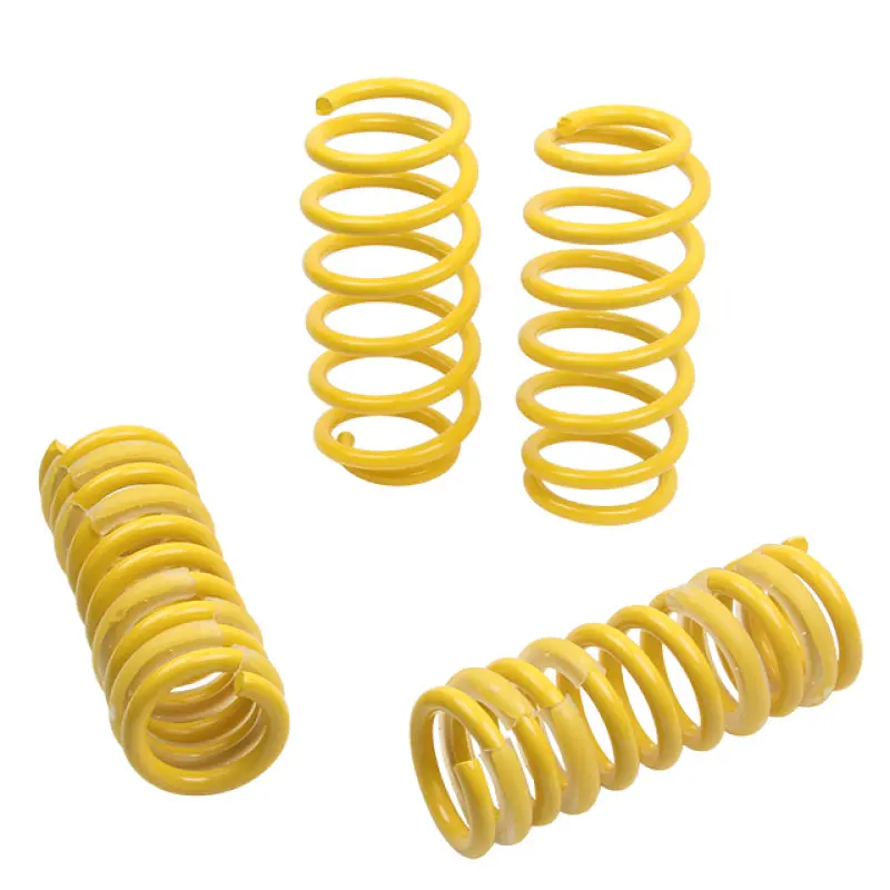 St Sport-Tech Lowering Springs Chrysler 300C 2Wd / Dodge Charger Magnum 1