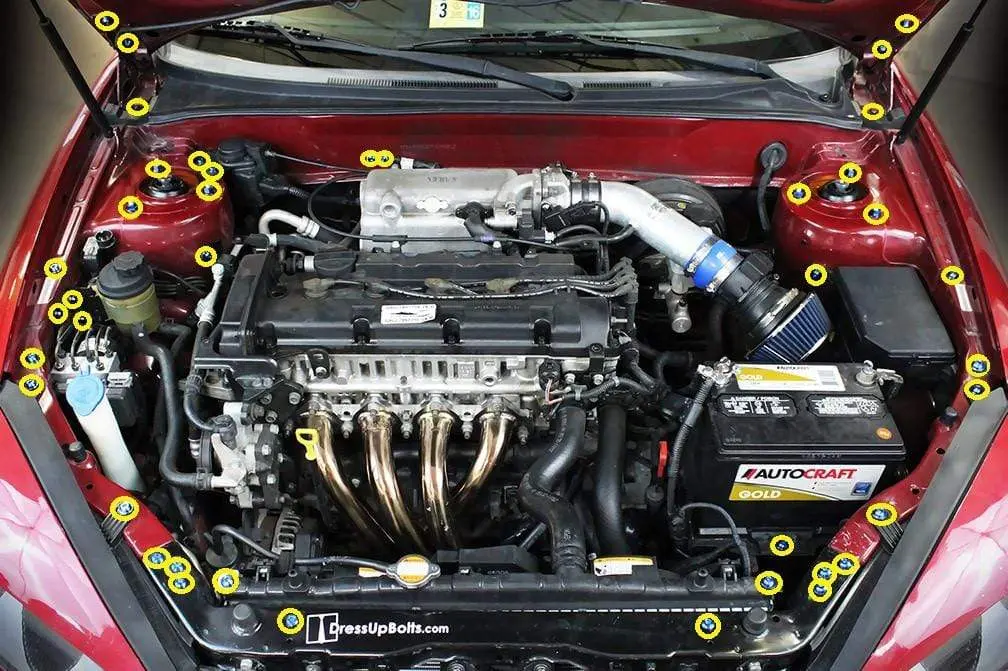 Hyundai Tiburon (2003-2008) Titanium Engine Bay Kit 2