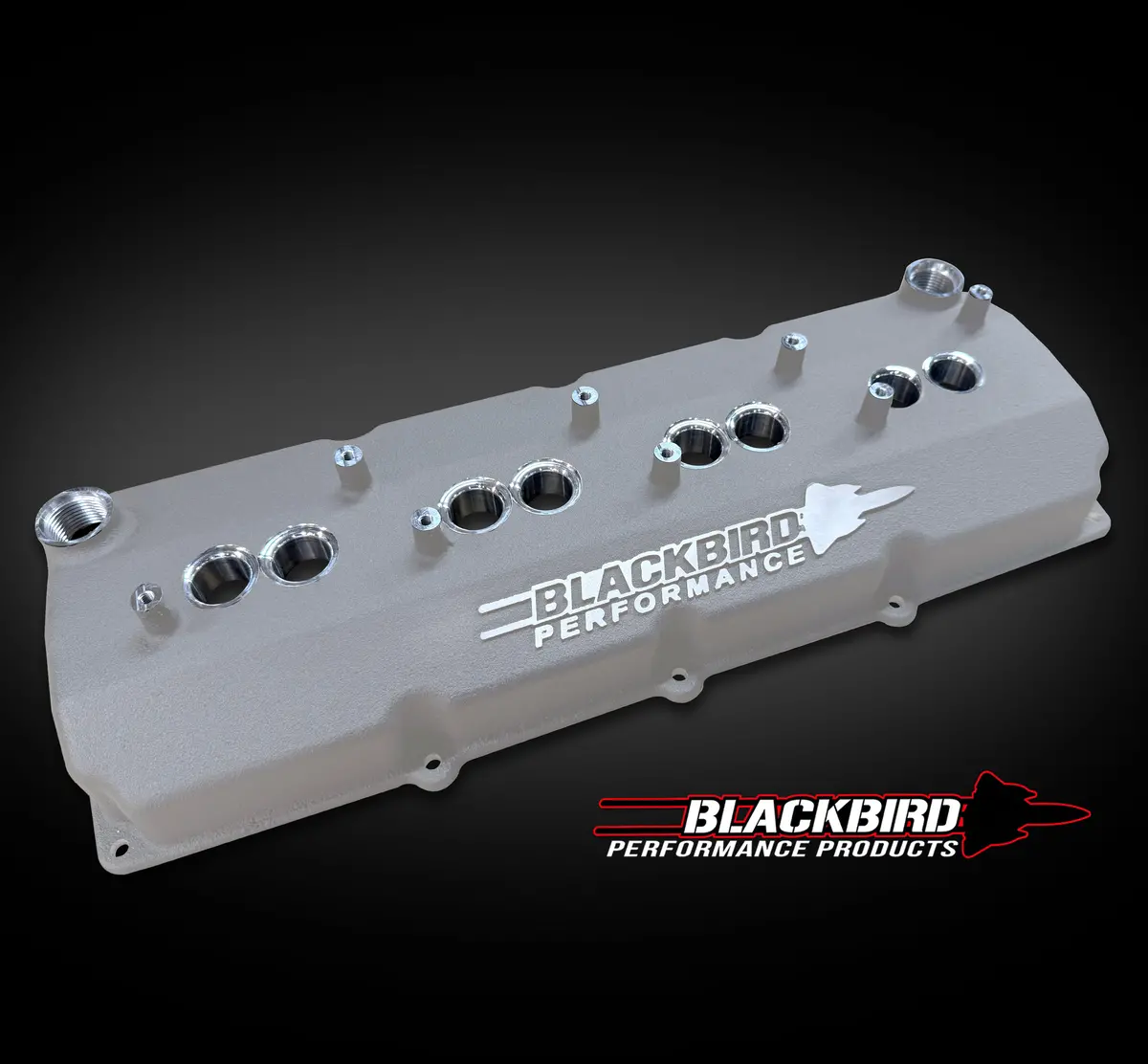 Blackbird Performance High Performance Cast Valve Covers 5