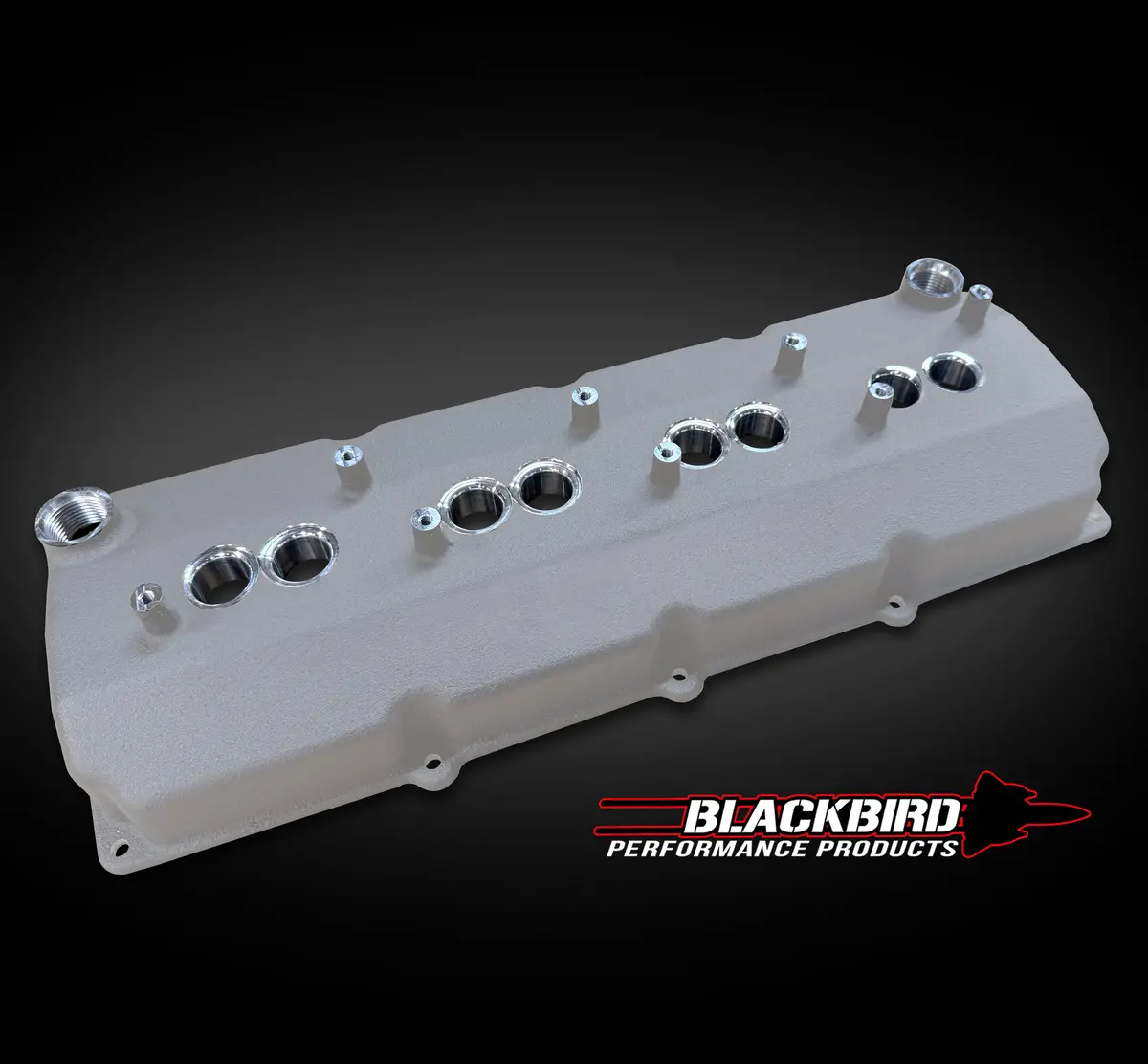 Blackbird Performance High Performance Cast Valve Covers 4
