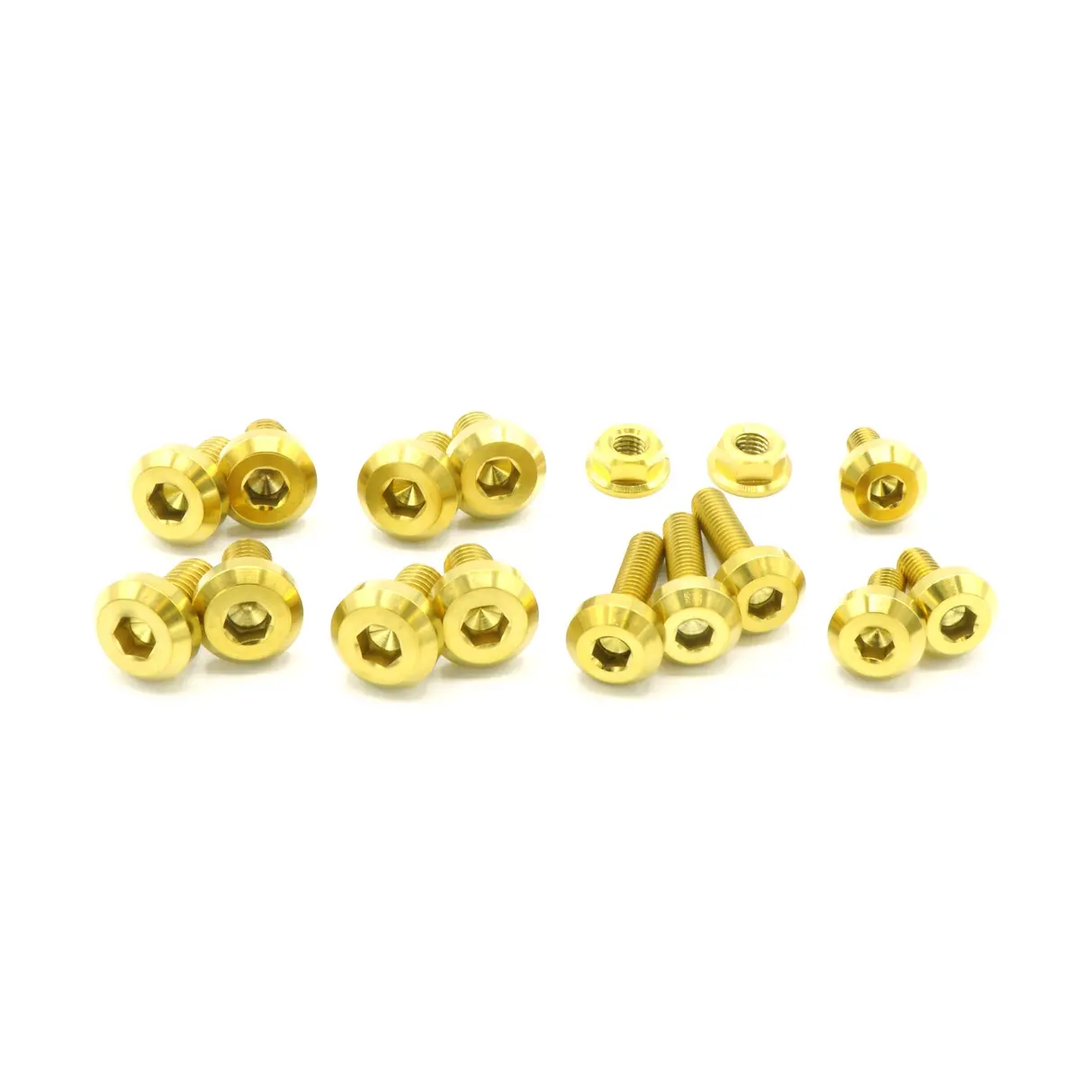 Titanium Hardware Engine Kit - 7M-Gte Engine 1