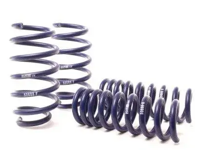 H&R 06-10 Dodge Charger/Challenger Sport Spring (W/Nivomat Only) 1