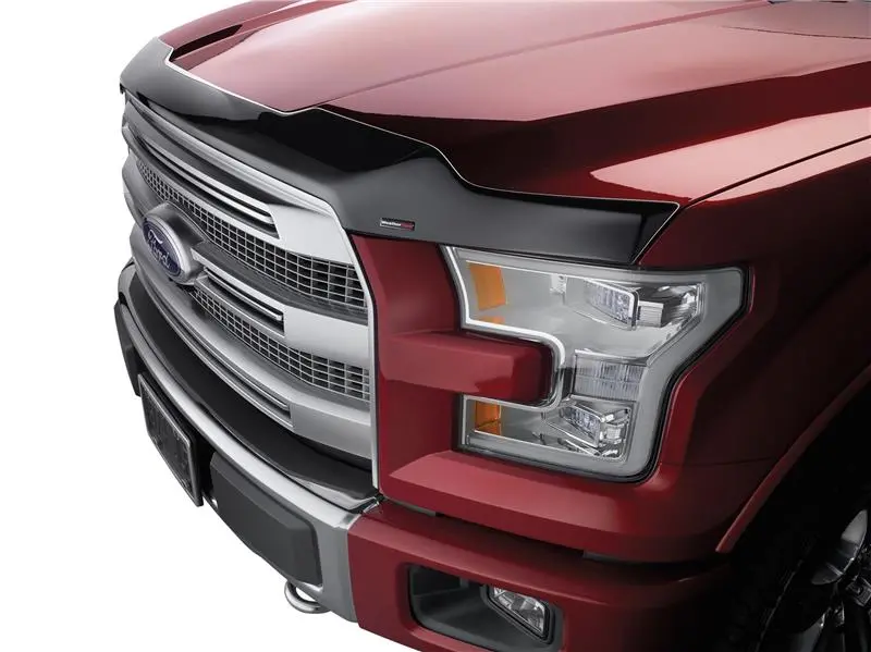 Weathertech 2009+ Dodge Ram Hood Protector - Black 2