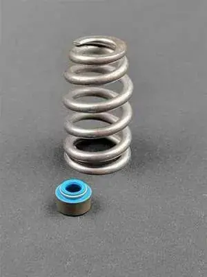 Cam Motion .650" Valve Spring Kit For 5.7 Eagle (Late 2009 Up) Gen 3 Hemi 1
