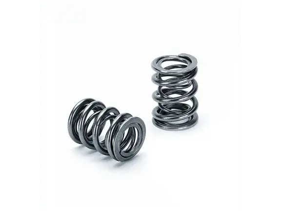 Supertech Nissan Rb25de/Det Dohc 24V (W/Solid Lifters) Dual Valve Spring Kit 1