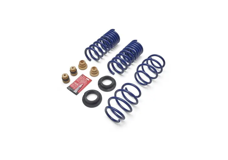 Ford Racing 2024 Mustang 2.3L Track Lowering Spring Kit 1