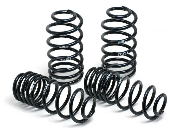 H&R 11-14 Dodge Charger Rt (2Wd) Rt Max V8 Sport Spring 2