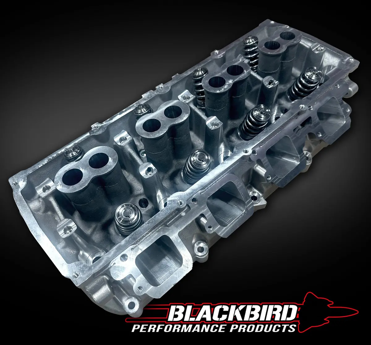 Blackbird Performance Blackbird Performance Factory Cast Race Spec - Hellcat Redeye 1