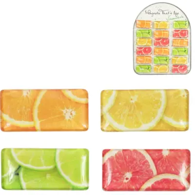 Magneet Fruit Vitaminekick 5,8 Cm 4 Assorti | 36 Stuks 1