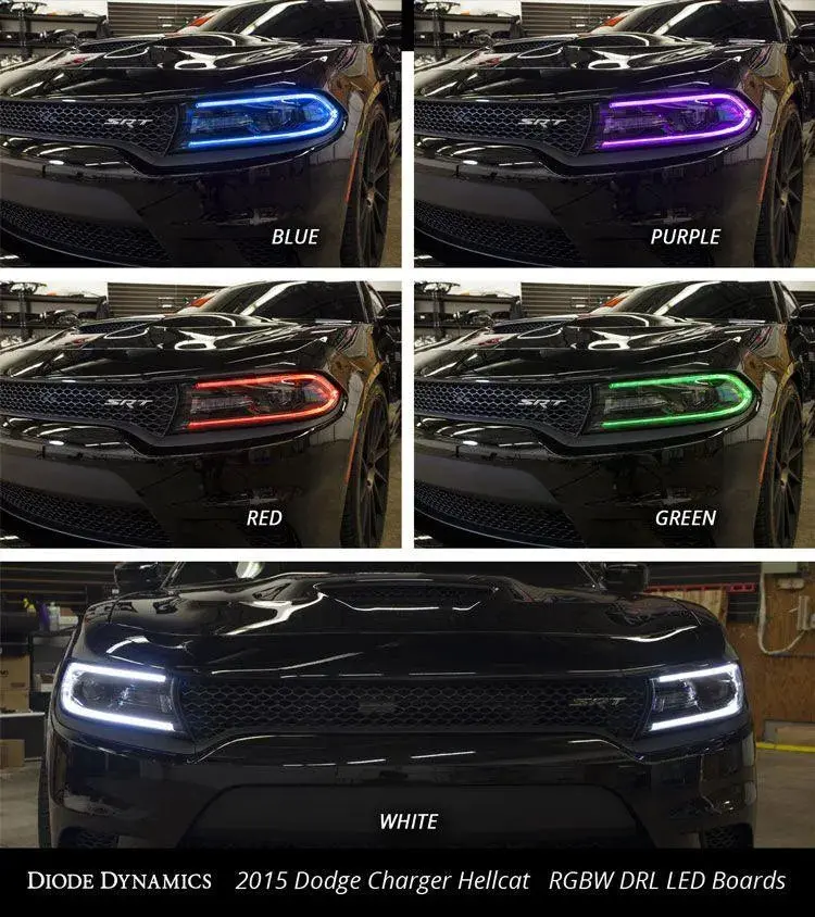 Diode Dynamics 2015-2018 Dodge Charger Multicolor Led Boards 1