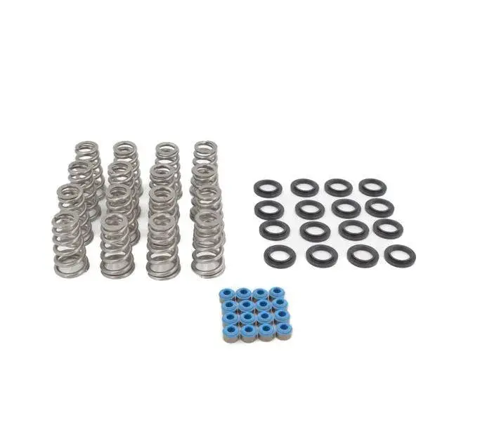 Brian Tooley Racing Gen Iii Hemi 5.7 09-23 Valve Springs .650" Lift 1
