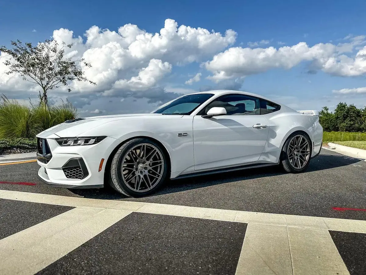 Steeda Mustang Sport Lowering Springs - Progressive (2015-2024) 2